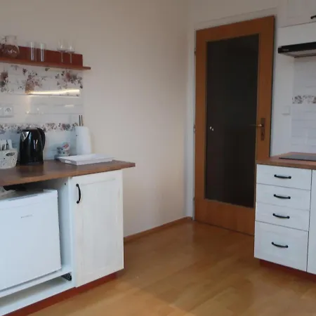 Nad Prehradou Apartment *